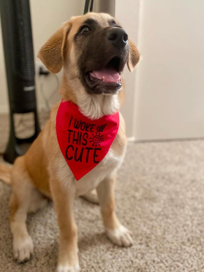 I woke up this cute bandana - Customizable