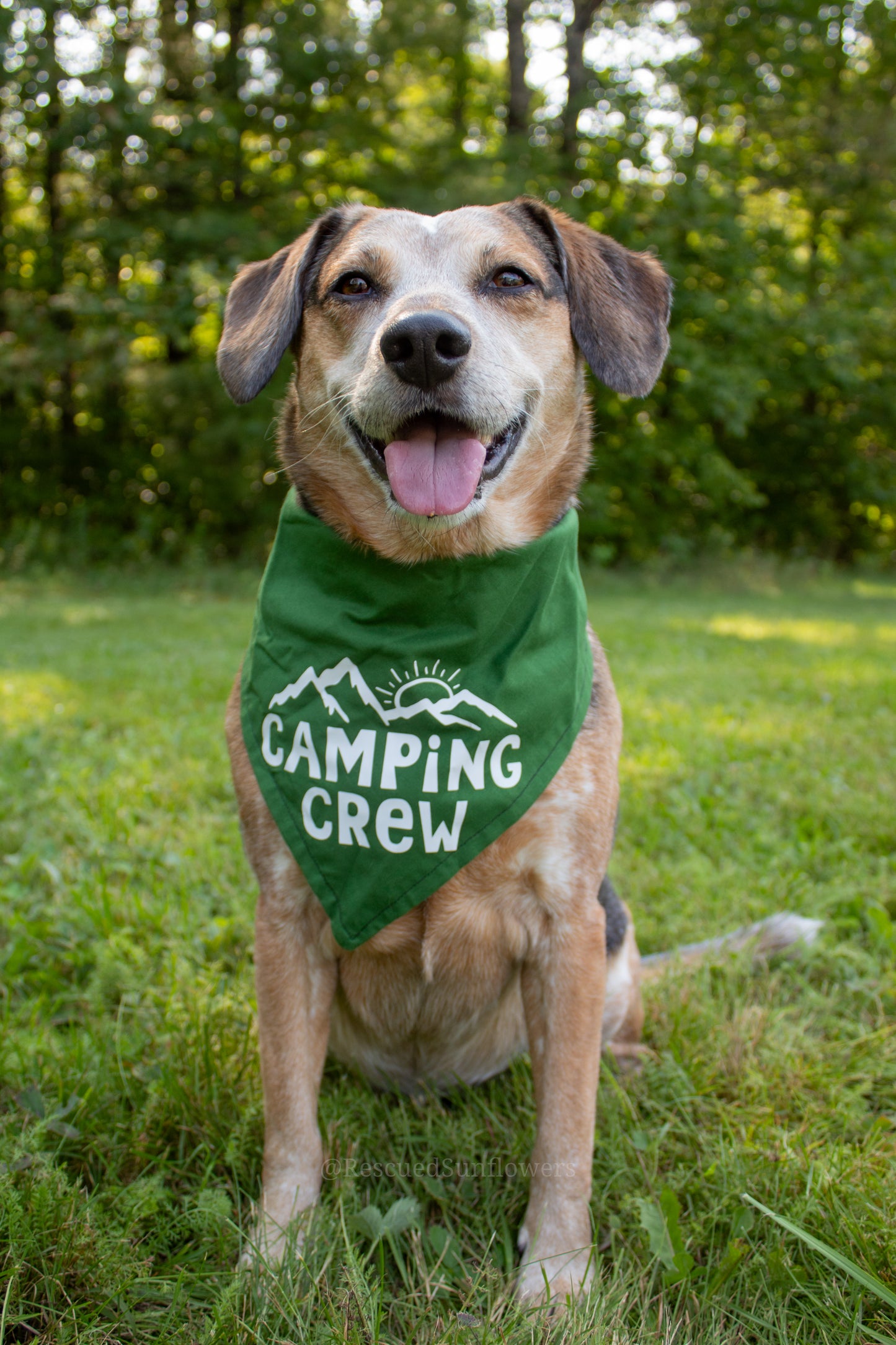 Camping Crew Bandana - Customizable
