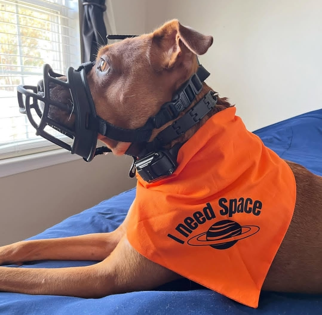 Orange I Need Space CK9 Collaboration Bandana
