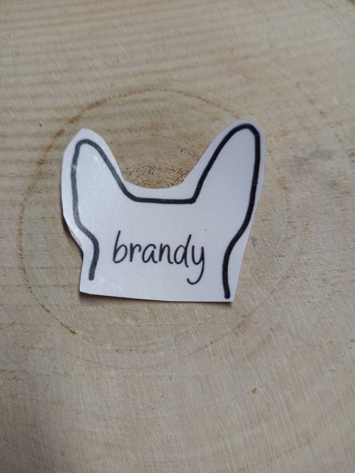 Customized Dog Ear Sticker