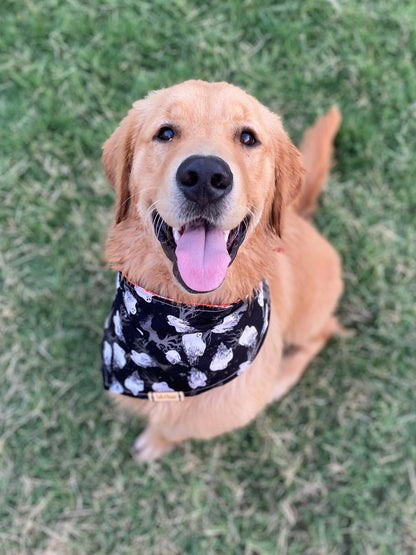 Spooky Ghosts Reversible Spider Dog Bandana