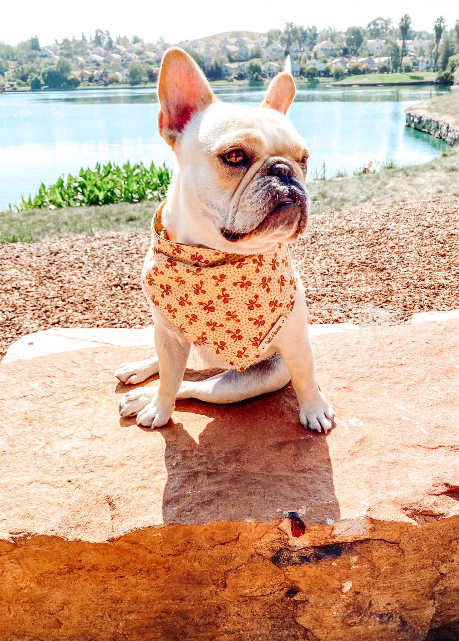 Lake Dog Bandana 