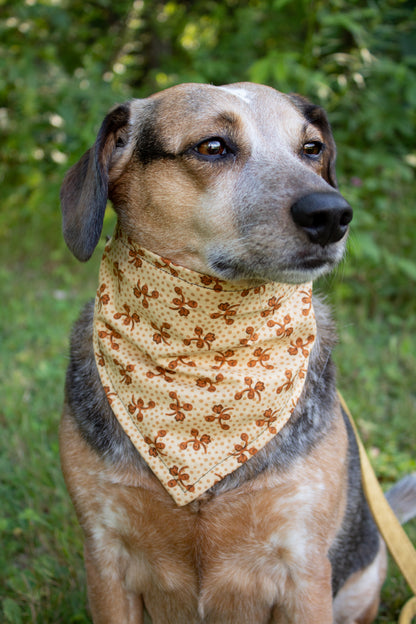 Sunny Day Reversible Acorn Dog Bandana