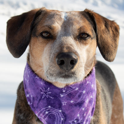 Purple Galaxy Bandana