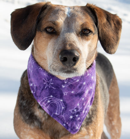 Purple Galaxy Bandana