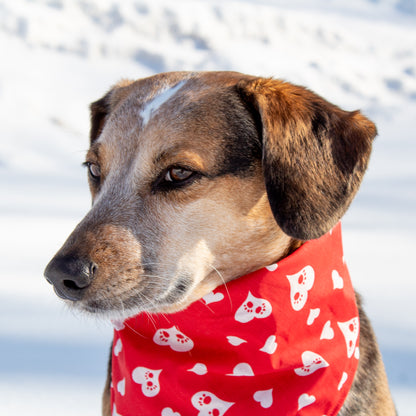 Pawsome Hearts Medium Lightweight Bandana