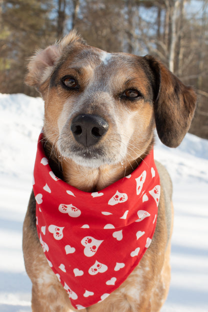 Pawsome Hearts Medium Lightweight Bandana