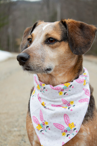 Rosemary Bunnies Over The Collar Bandana