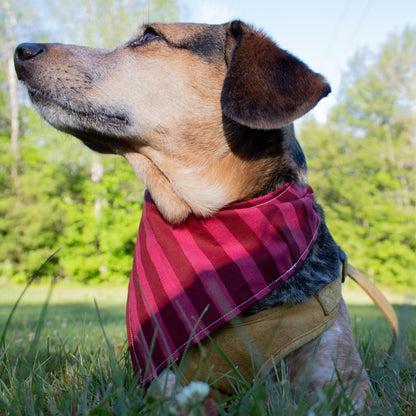 Cherry Bandana