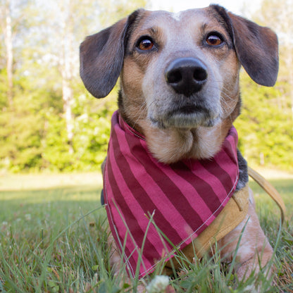 Cherry Bandana