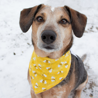 Bees Bandana