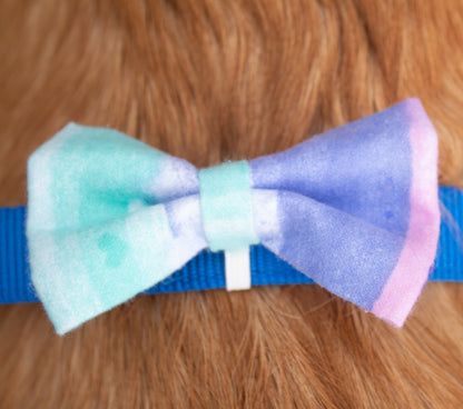 Purple Blue and Pink Bowtie